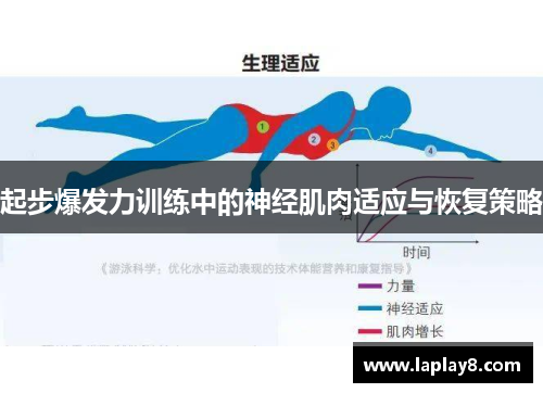 起步爆发力训练中的神经肌肉适应与恢复策略